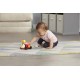 Leapfrog 發光甲蟲